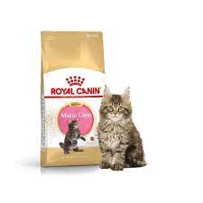 jual royal canin kitten maine 36