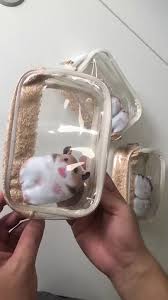 cute hamster storage bag hamster