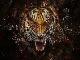 49+] 3D Tiger Wallpaper on WallpaperSafari