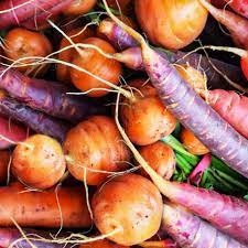 Sometimes, certain ones form a major part of a culture's diet. 10 Root Vegetables You Can Successfully Grow