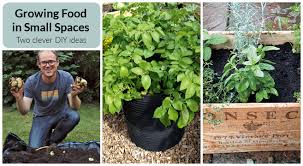Easy Diy Projects For Growing Food