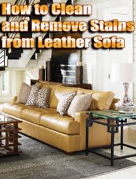 clean and remove stains from leather sofa