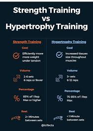 hypertrophy training for muscle growth