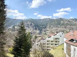 Angeboten wird eine ein zimmer wohnung mit herrlicher aussicht über bad wildbad. Wohnung Mieten In Bad Wildbad Im Schwarzwald