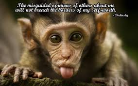 Funny Monkey Quotes. QuotesGram via Relatably.com