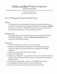how to write an essay about your character how to write a unique literary essay outline