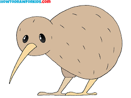 how to draw a kiwi bird easy drawing