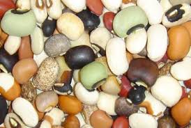 Development of Market-Driven Improved Cowpea Varieties Using Mature-Markers - Feed the Future Innovation Lab for Legume Systems Research