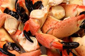 Stone crab claws without cracks in the shell can be frozen for up to six months. Large Stone Crabs Key Largo Fisheries