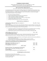 Personal Objective Resume Personal Objectives For Resumes Personal