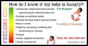 hunger cues when do i feed baby