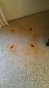 get rust stains out of my carpeting