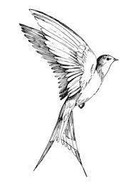 how to draw bird flying drawing step by