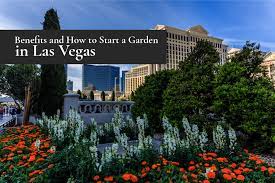 A Garden In Las Vegas