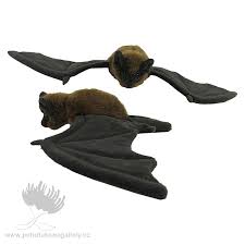 nz long tailed bat soft toy