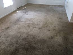 carpet cleaning in baltimore safe