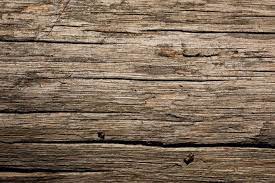 Dry Old Wood Texture Wild Textures