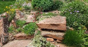 5 uses for rocks in your landscape my