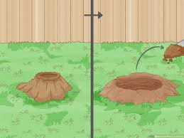 4 easy ways to get rid of an ant hill