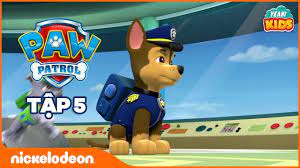 Xem Phim Những Chú Chó Cứu Hộ (Paw Patrol) Tập 14 (Thuyết Minh) -  Thucanh.vn - Website chuyên thông tin dành cho thú cưng, vật nuôi