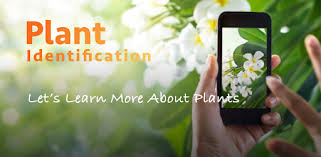 Plant place picture is the best plant identification app android 2021. Leafsnap Plant Identification Apps On Google Play