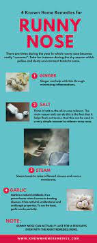 4 known home remes for runny nose