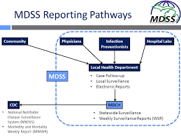 Msipc Fundamentals Interaction Between Ips And Local And
