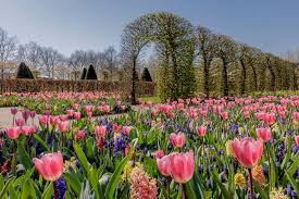 269,499 likes · 32,191 talking about this. You Can Take A Virtual Tour Of Holland S Keukenhof Gardens 2020