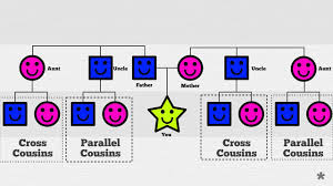 Parallel And Cross Cousins Explained