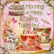 It's tuesday and its a long week to go! 50 Best Happy Tuesday Quotes And Sayings With Pictures Good Morning Tuesday Tuesday Quotes Good Morning Good Morning Picture
