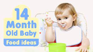 food ideas for 14 month old baby you