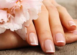 licensed nail tech in florida