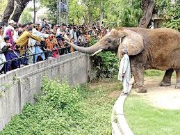 Lahore Zoo     Established in      Peridar melanmai essay writing