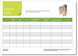 Monitoring Your Dogs Seizures Dogs With Epilepsy