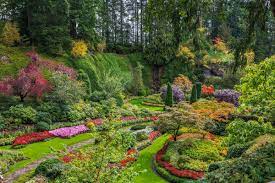 butchart garden tours from victoria