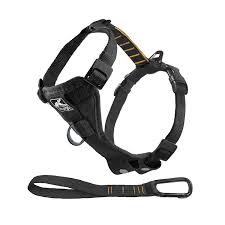 Kurgo Dog Harness Pet Walking Harness Car Harness For Dogs Front D Ring For No Pull Training Includes Dog Seat Belt Tether Tru Fit Smart