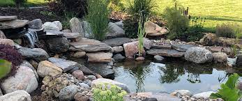 Create A Backyard Oasis With A Water