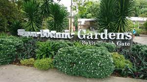 singapore botanic gardens etraveller