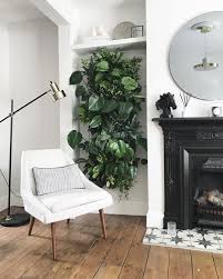 Indoor Living Plant Wall Diy Living