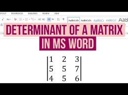 Write Determinant Of Matrix In Word
