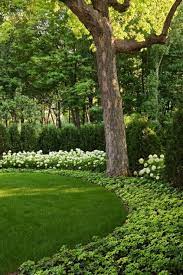 Landscape Ideas For A Wooded Backyard