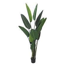 Laura ashley 8 foot tall high end silk realistic bamboo tree with decorative pla. Trapal Artificial Plants For Home Decor Indoor Outdoor Fake Travelers Palm Tree For Home Office Store Decorations 6 Feet Buy Online In Aruba At Desertcart Productid 86546894