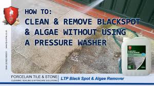 how to clean remove blackspot algae