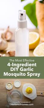 4 ing garlic mosquito spray diy