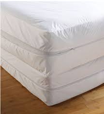 bedbug proof anti bed bug mattress