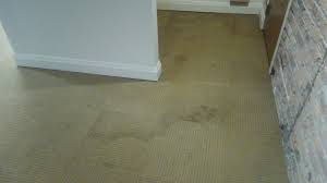 carpet cleaning services chicago