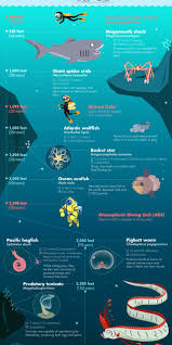 Pin By Animal Wonders On Charts Infographics Blobfish