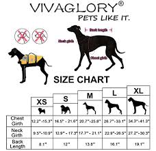 Vivaglory Dog Life Jacket Size Adjustable Dog Lifesaver Safety Reflective Vest Pet Life Preserver Bowwowtech