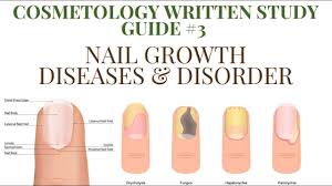 cosmetology written study guide nail
