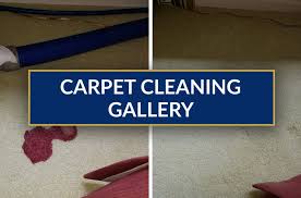 carpet cleaning in michigan rug
